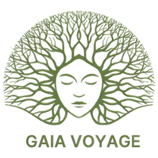 Gaia Voyage